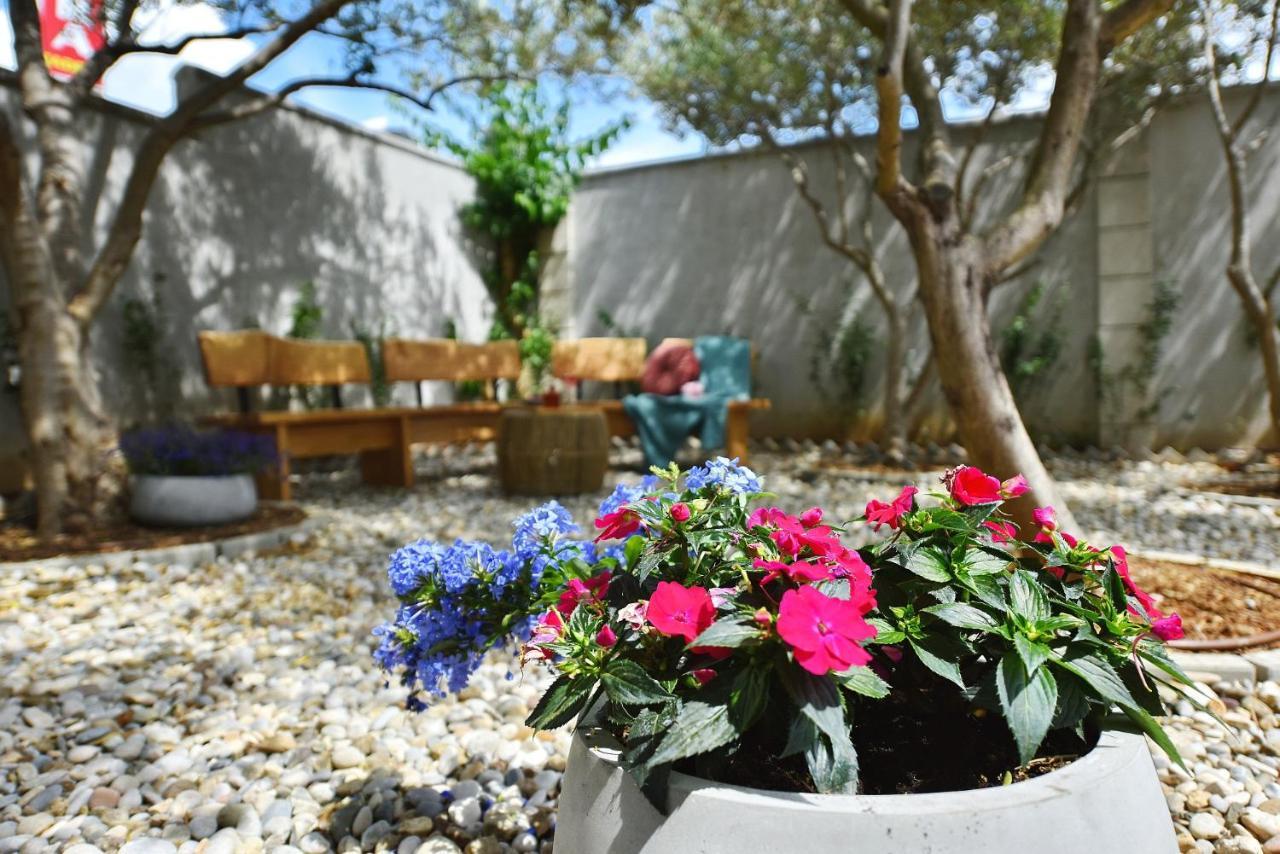 Villa Manda Zadar Luxury Apartments Eksteriør billede